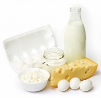 Fresh eggs and dairy products